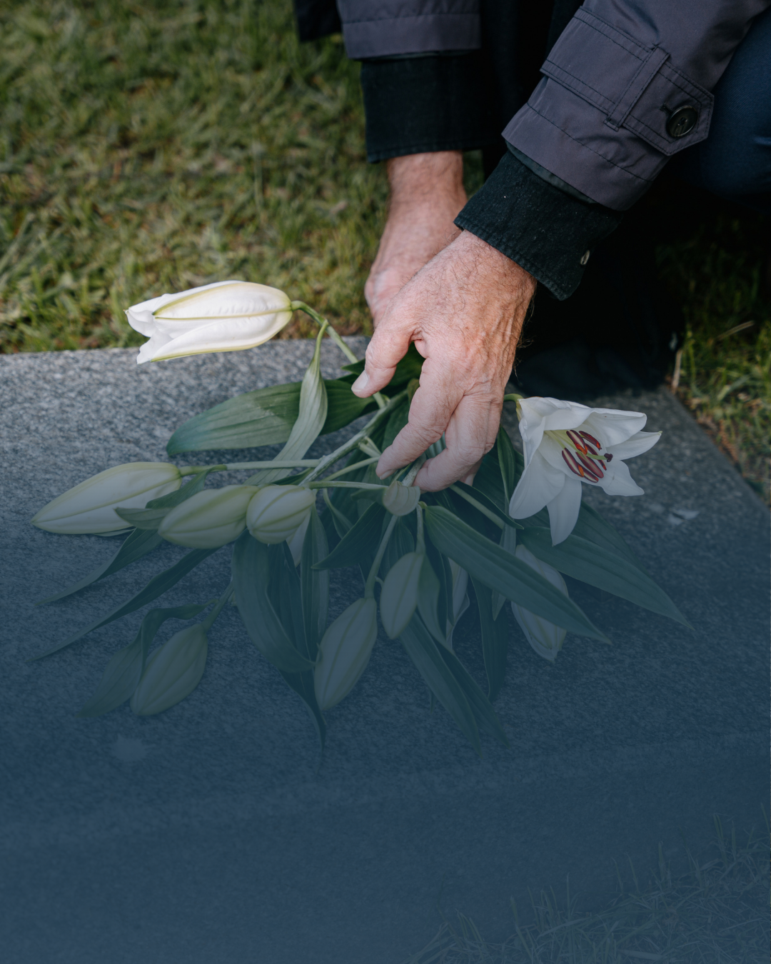 Revisão pensão por morte: veja se você tem direito